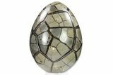 Septarian Dragon Egg Geode - Removable Section #134632-4